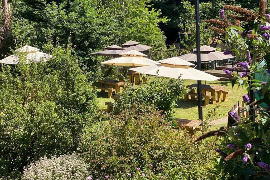 17Th Century Boutique Getaway In The Countryside Apartment Martin Mill Екстериор снимка